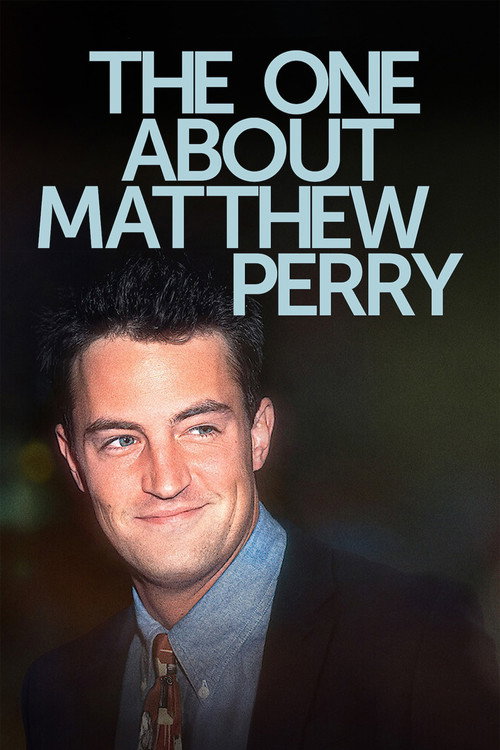 Poster of The One About Matthew Perry